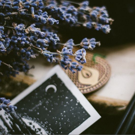 contact-blue-moon-ink