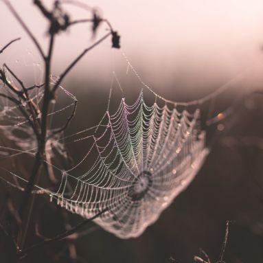freestocks-unsplash-inspiration-nature-blue-moon-ink