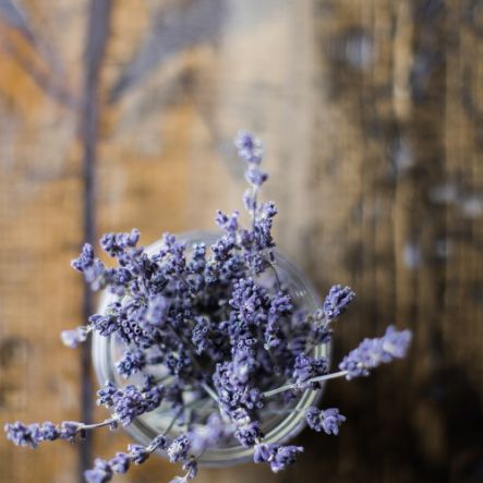 heather-ford-unsplash-inspiration-nature-blue-moon-ink