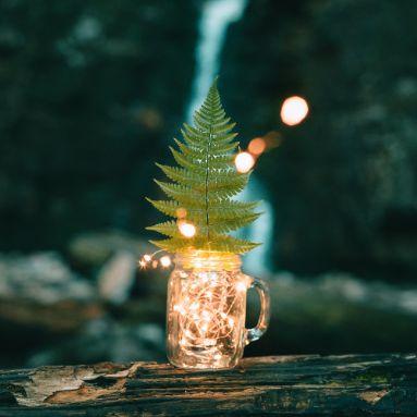 silviu-zidaru-unsplash-inspiration-nature-blue-moon-ink