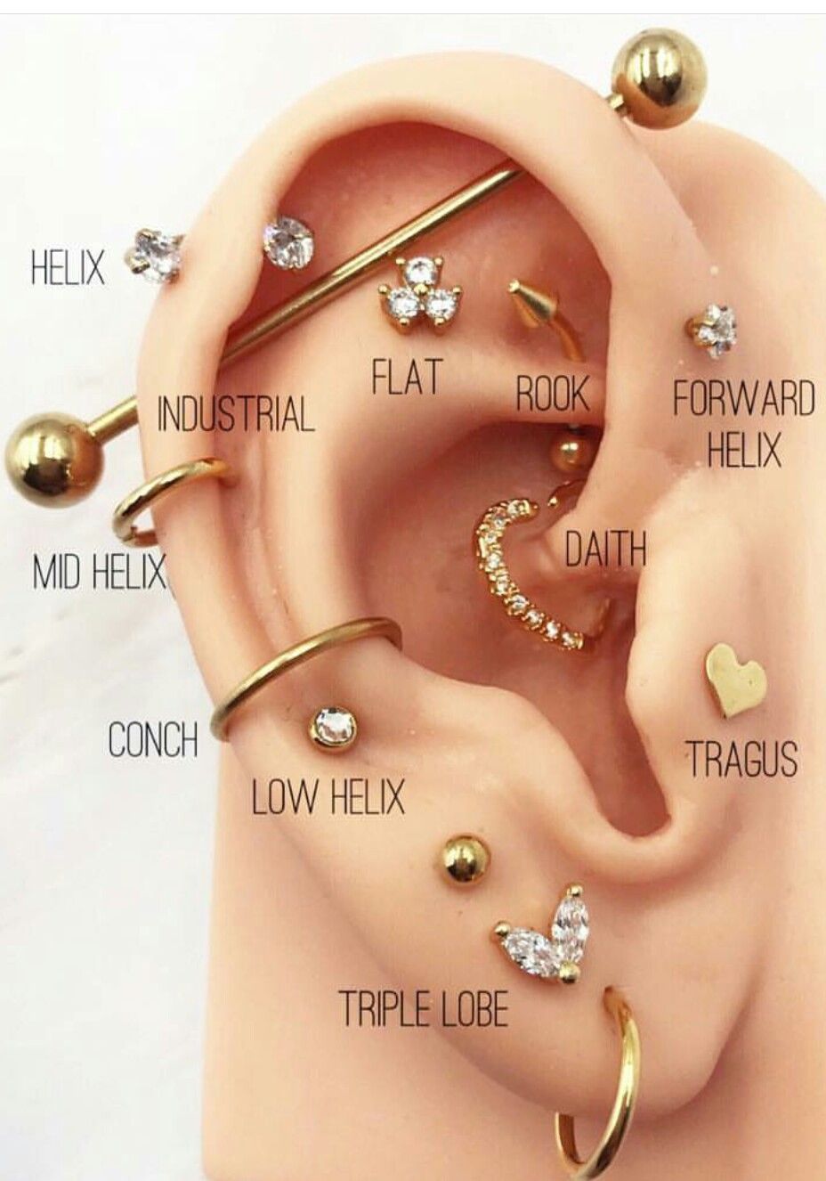 8eb0167e27208ee608686c3ccdb87461 salon de piercing - blue moon ink